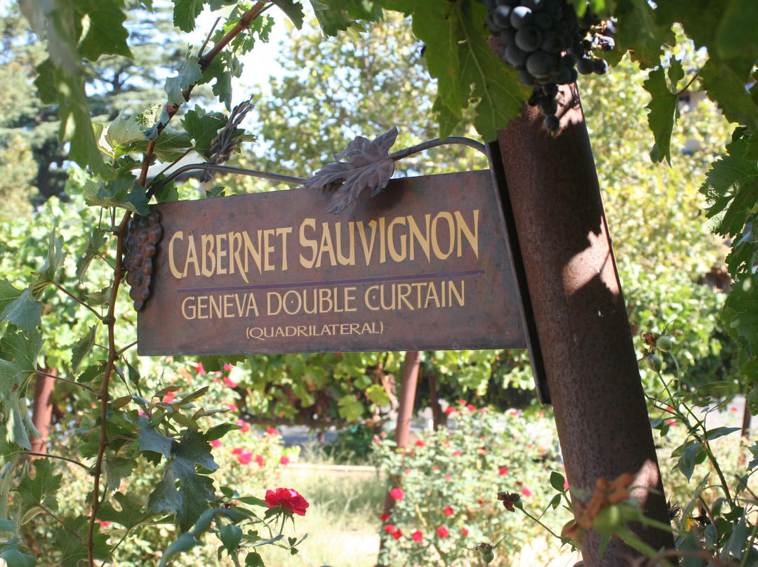 Lodi Wine & Visitor Center-洛迪必去景点