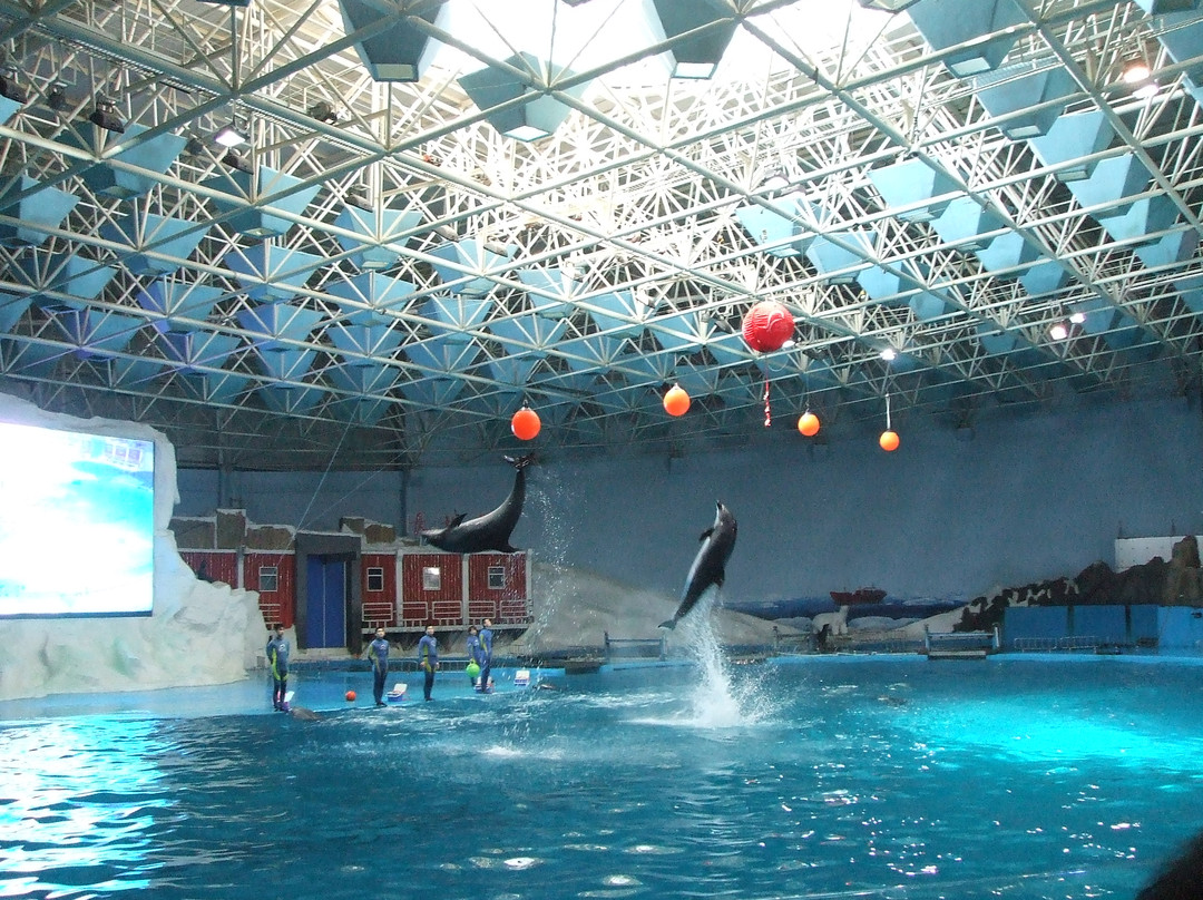 极地海洋世界-青岛市必去景点