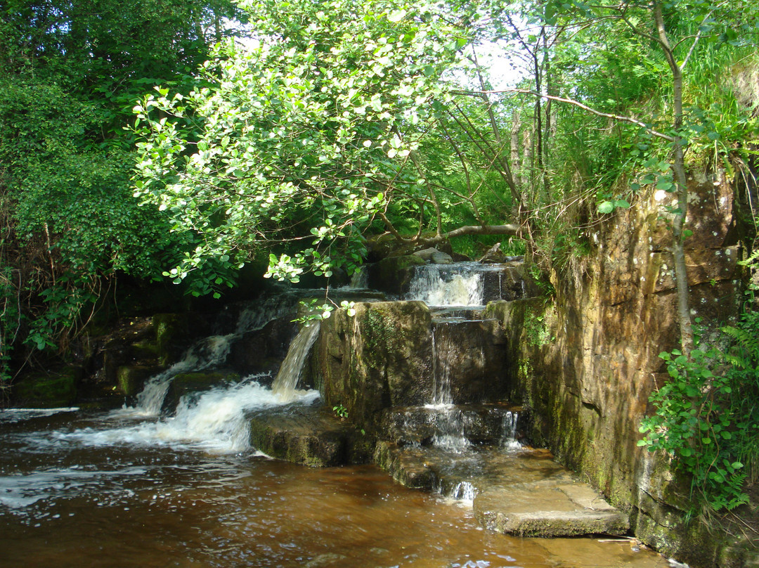 Hareshaw Linn Walk-Bellingham必去景点