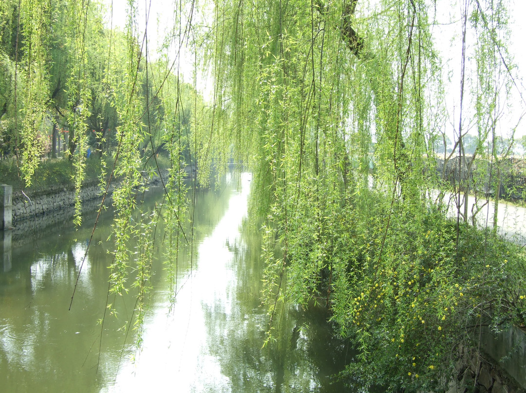 宁波奉化滕头村-奉化市必去景点