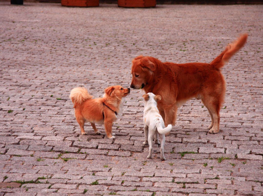 青岛天主教堂-青岛市必去景点