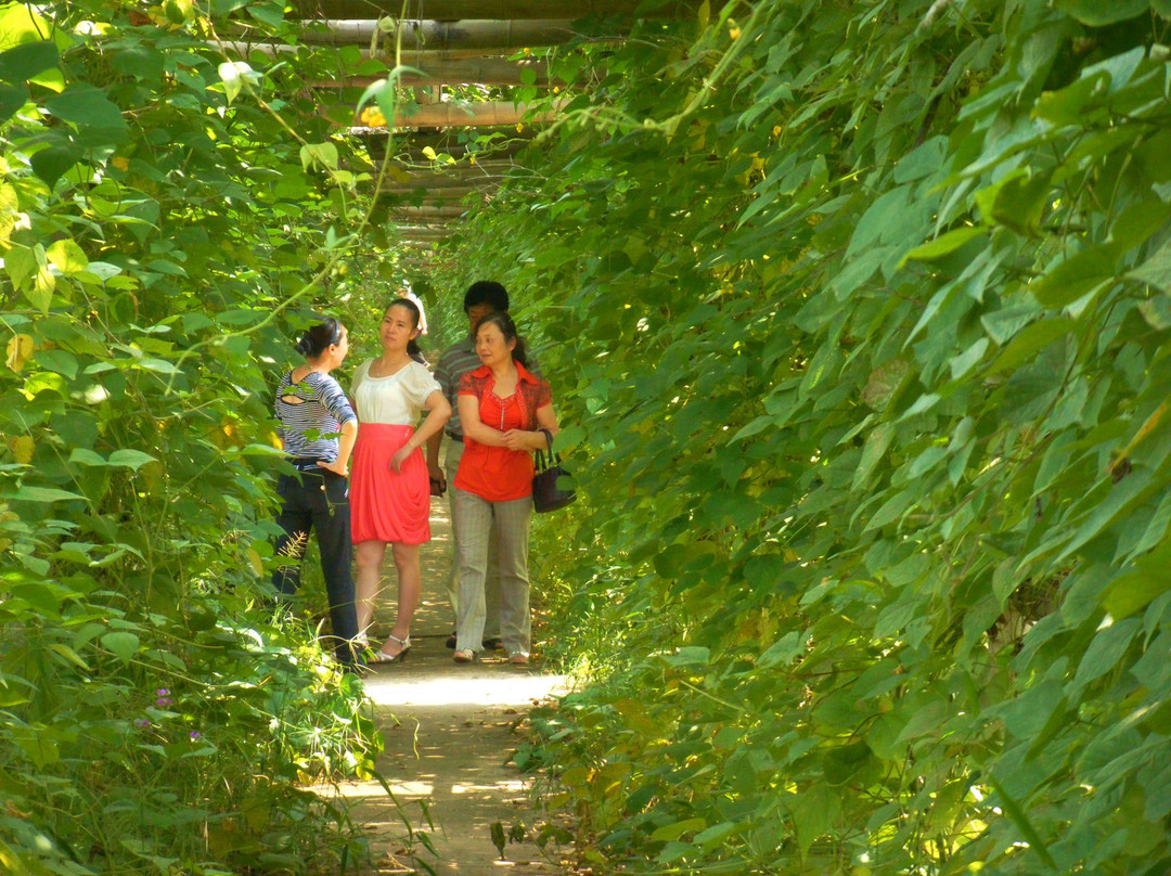 周立波故居-益阳市必去景点