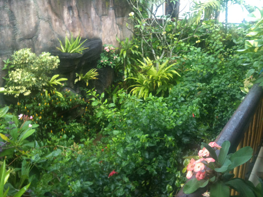 巴厘禅SPA-乌布必去景点