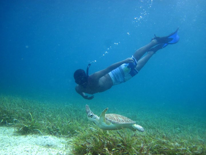 Kayaking Puerto Rico | Snorkeling & Bio Bay Tours-Las Croabas必去景点