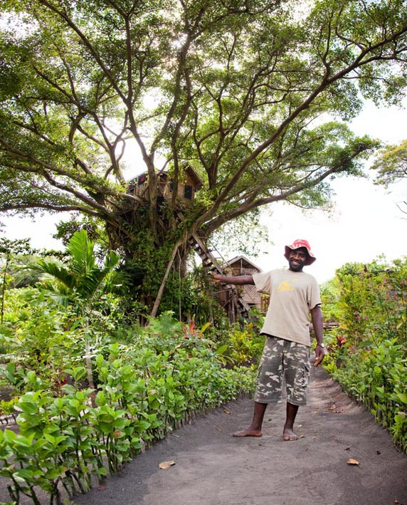 Tanna Tree Top Lodge