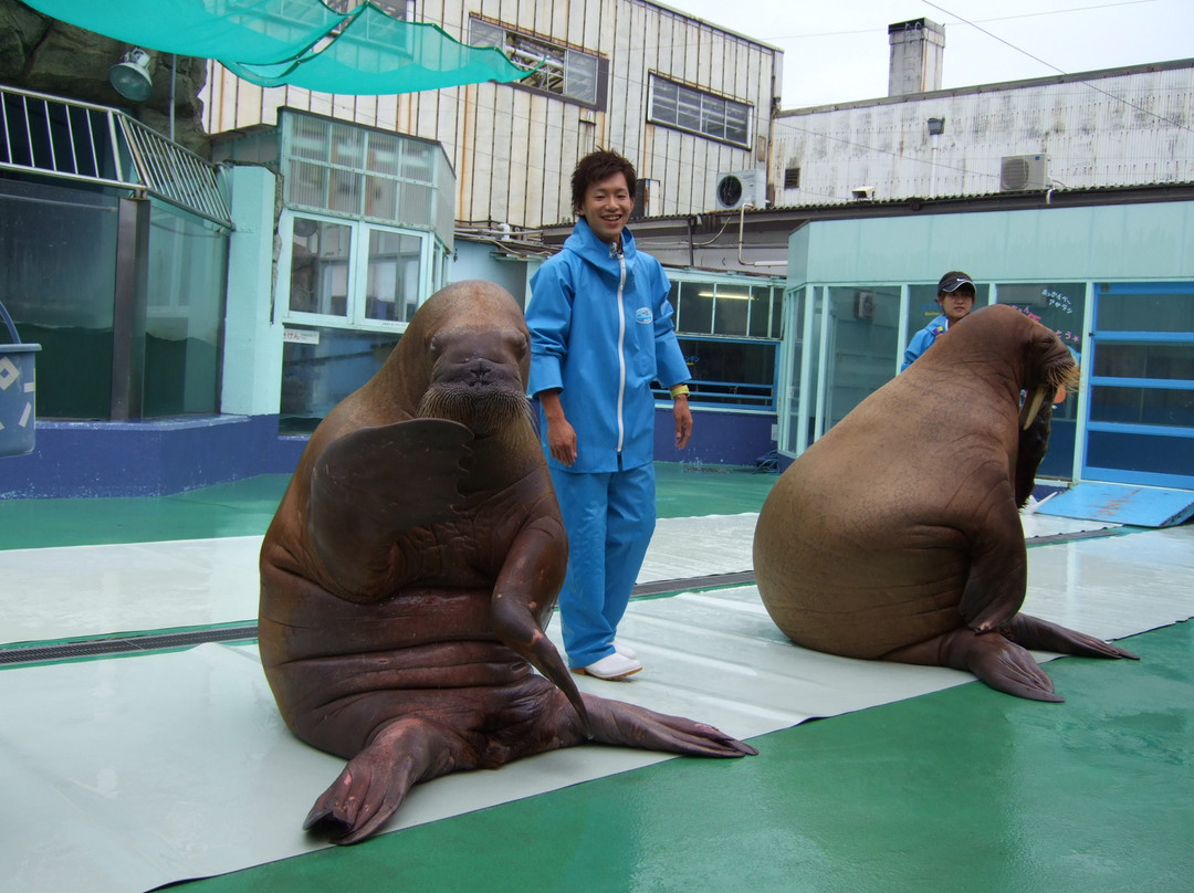 Ise Meotoiwa Interactive Aquarium (Ise Sea Paradise)-伊势市必去景点