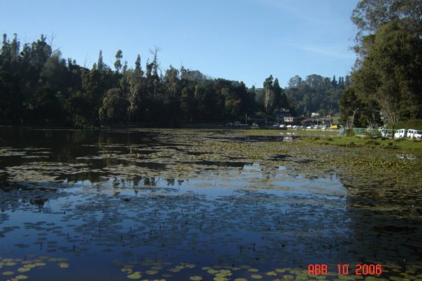 Berijam Lake-科代卡纳尔必去景点