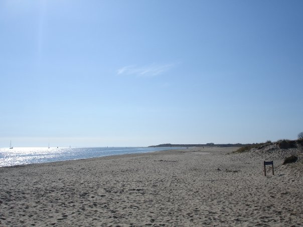 Shell Beach景点图片