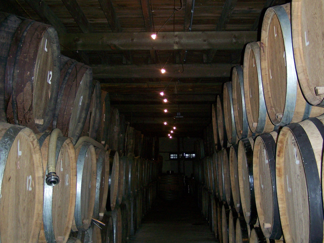 Cantillon-布鲁塞尔必去景点