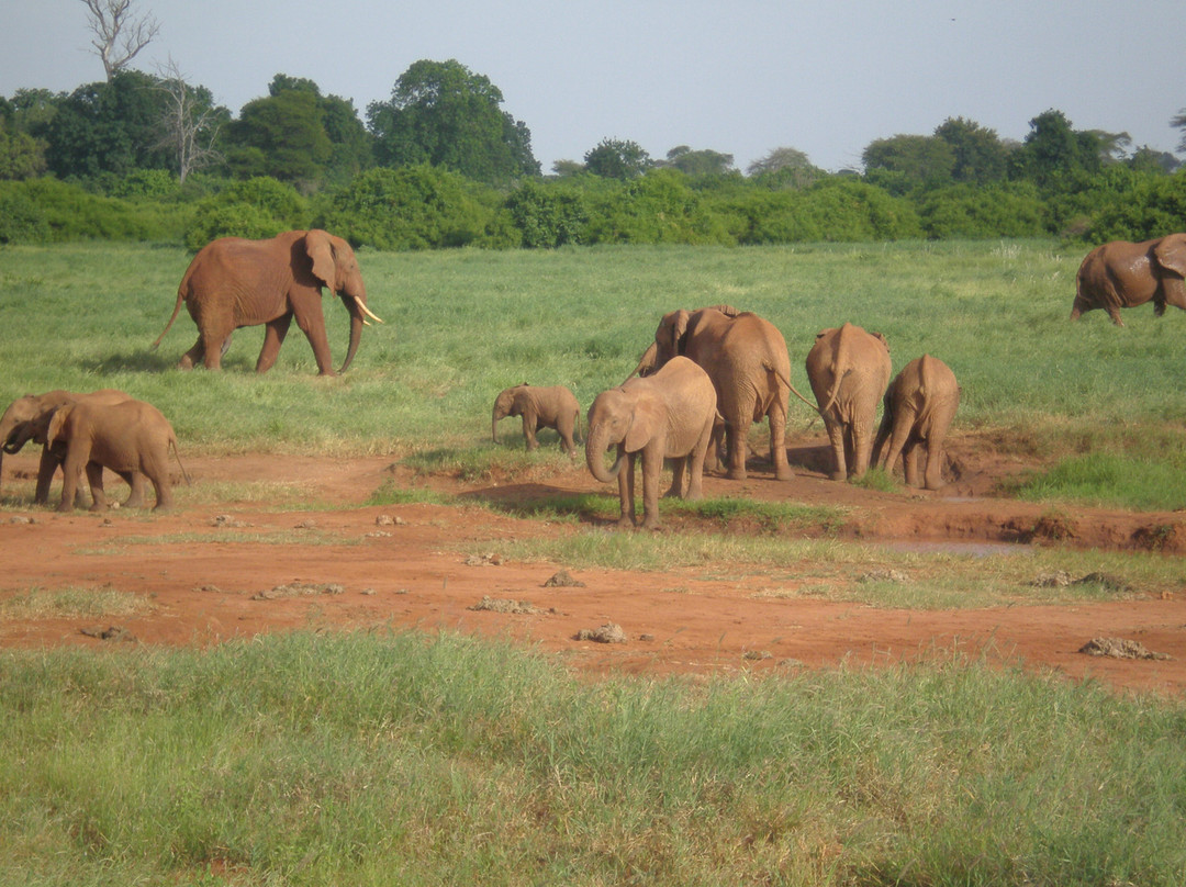 Ombre Tours & Safaris-瓦塔木必去景点