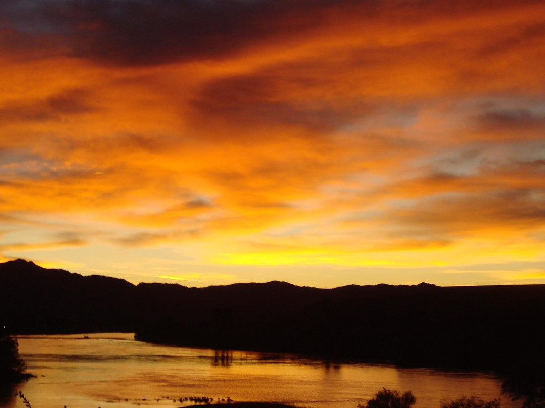 Colorado River Oasis