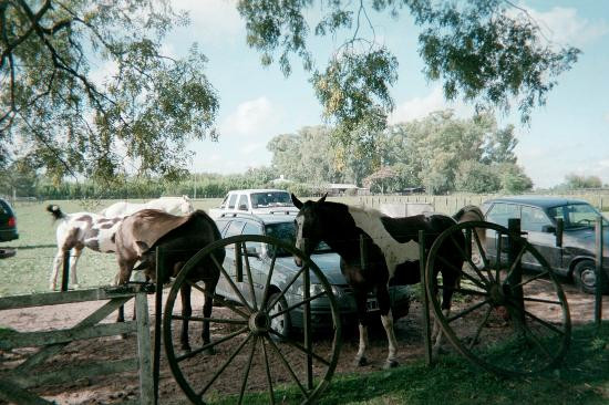 Estancia Los Dos Hermanos景点图片