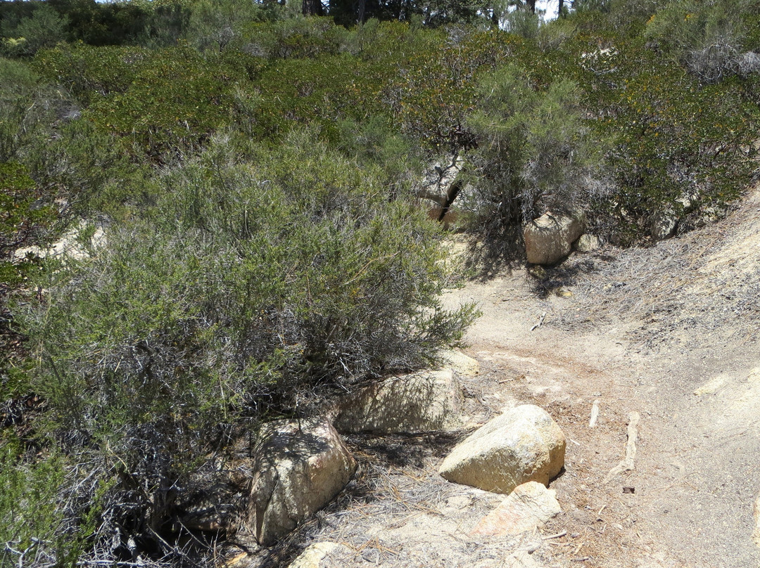 Chilao Recreation Area-拉肯纳达石岭必去景点