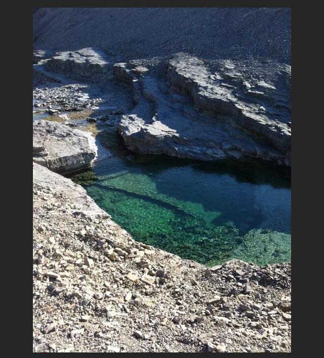 South Camp Inn-客卧