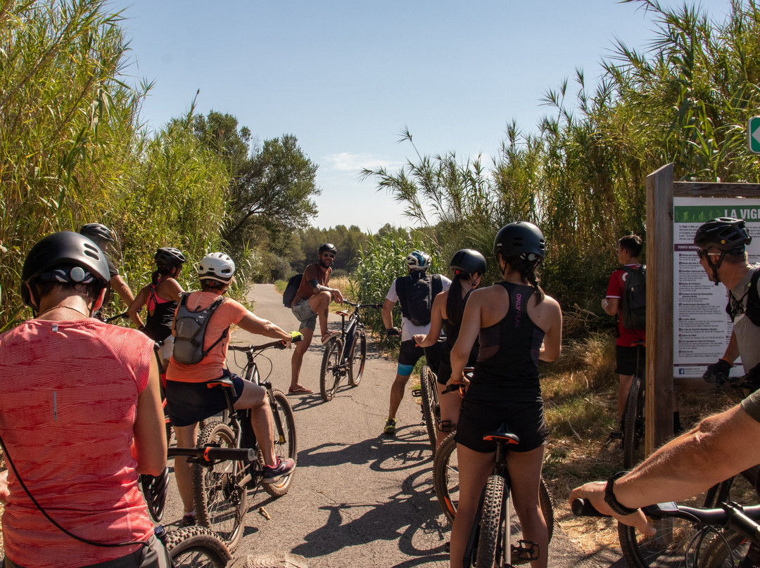 Les Domaines Viticoles À Vélo Électrique景点图片