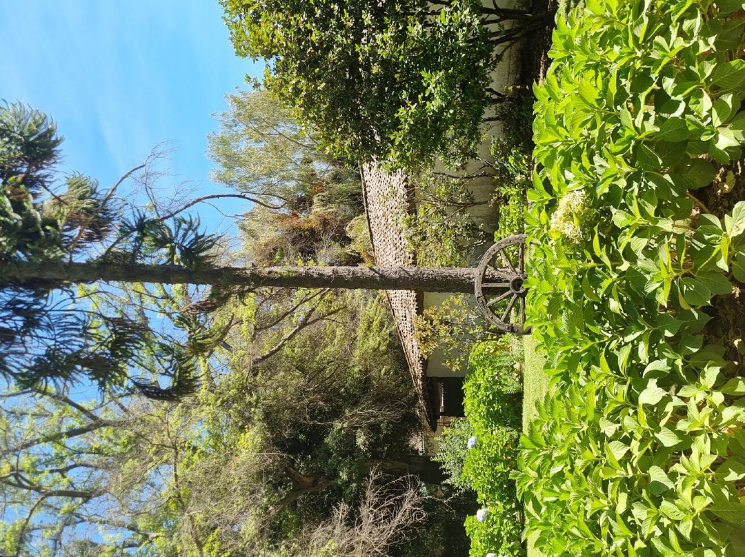 Casa de Campo Linares
