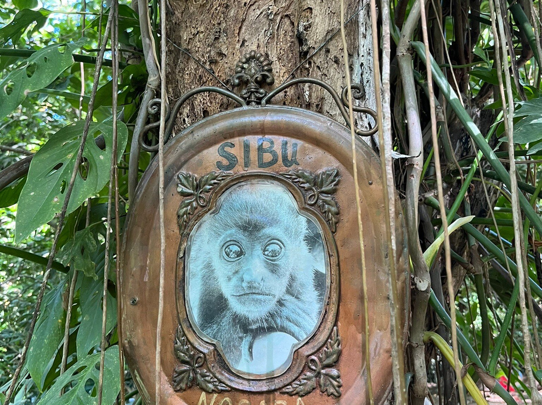 Sibu Wildlife Sanctuary景点图片