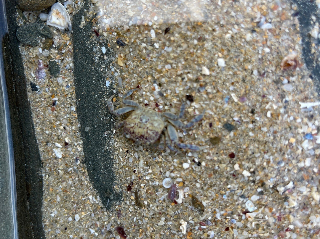 阿波罗湾宾馆主图