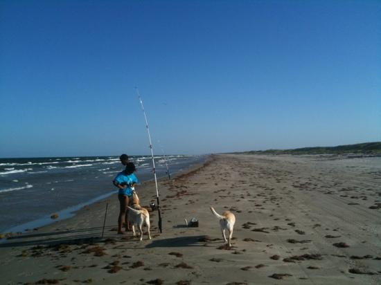 帕德里岛国家海滨-科珀斯克里斯蒂市必去景点