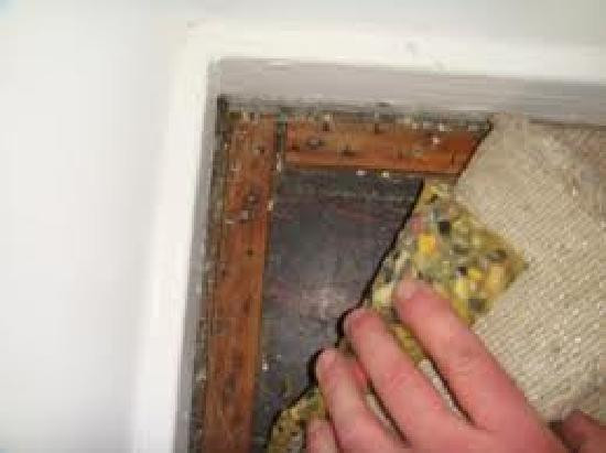 北京中航快捷酒店东四店主图