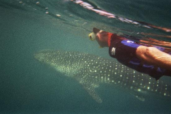 Arta Beach-Arta必去景点