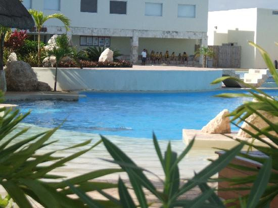 Dolphinaris-考祖梅必去景点