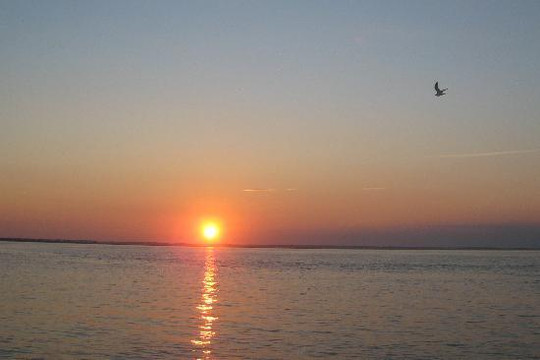 Spider's Explorer-钦科蒂格岛必去景点