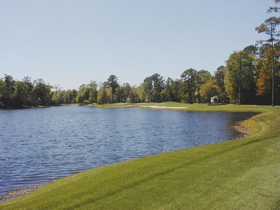 Mel Sole Golf School景点图片