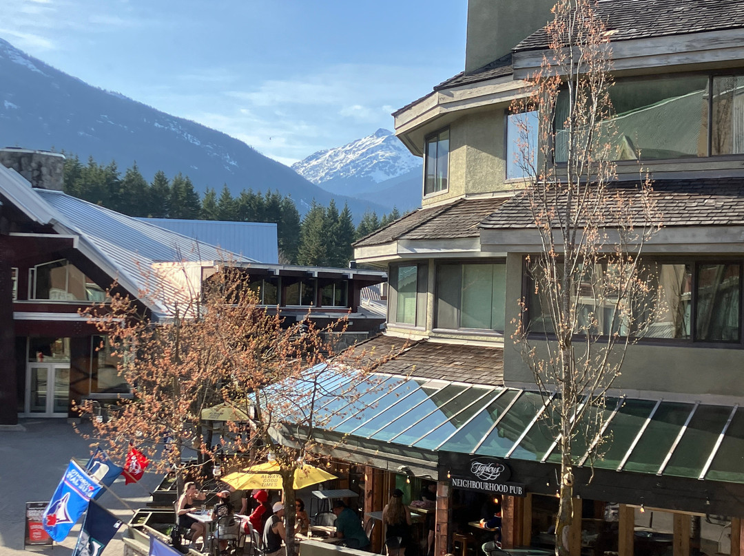 阿达拉酒店主图