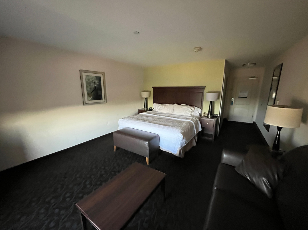 潘帕希尔顿恒庭酒店主图