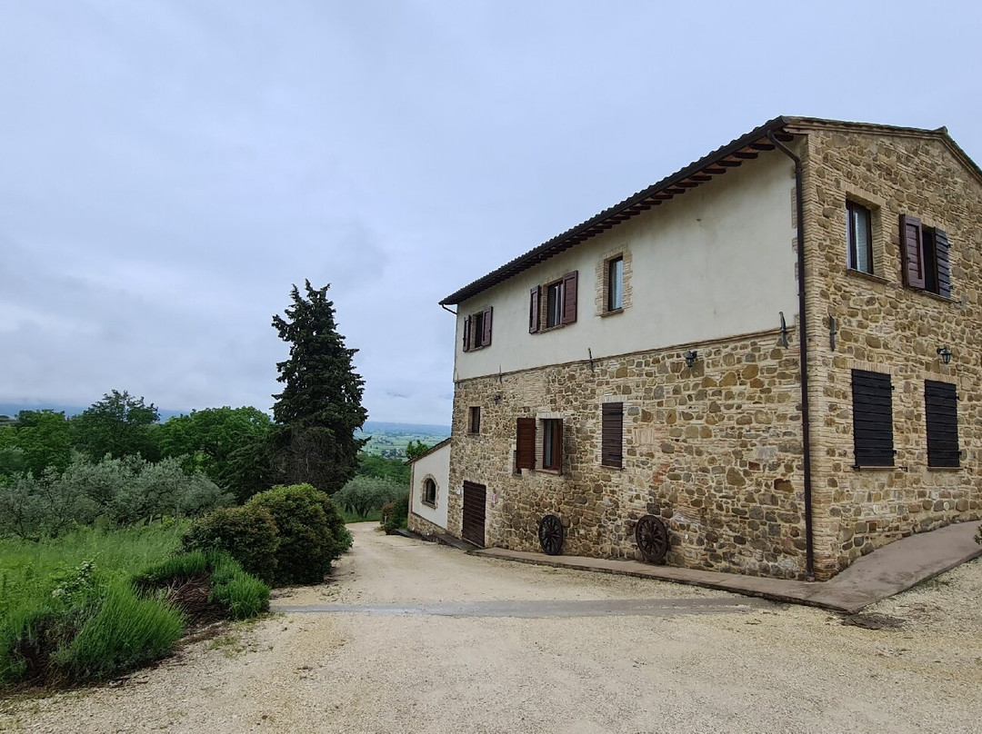 Villa Colle Di Rocco主图