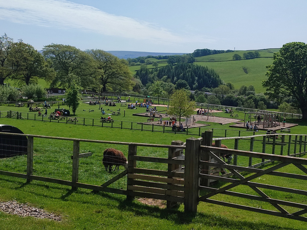 Hesketh Farm Park景点图片