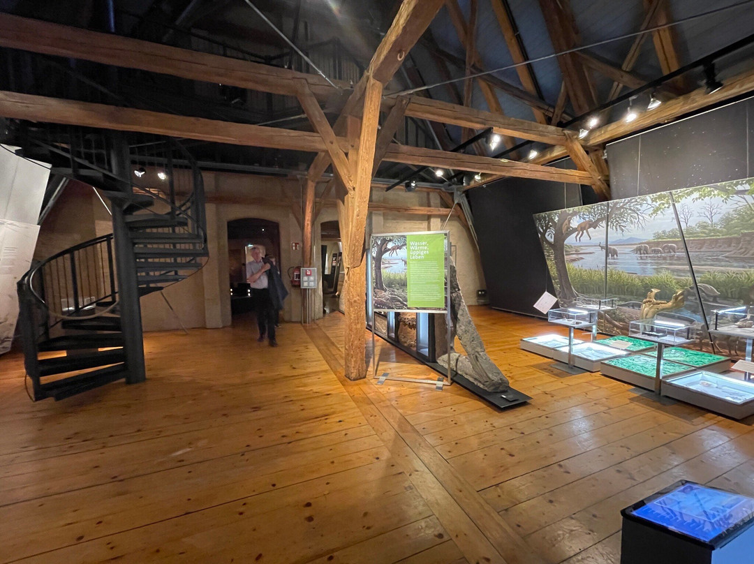 Ries Crater Museum-讷德林根必去景点