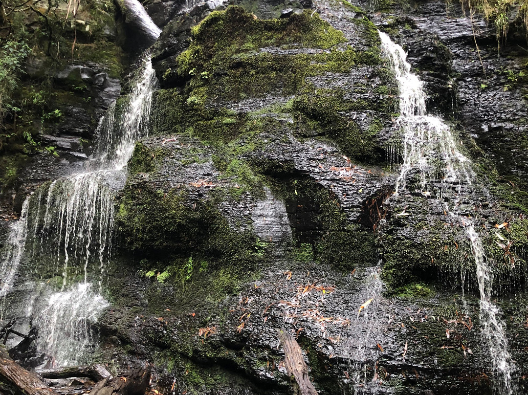 Henderson Falls-洛恩必去景点