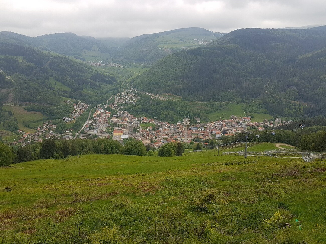 Gasthaus Felsenstuble主图