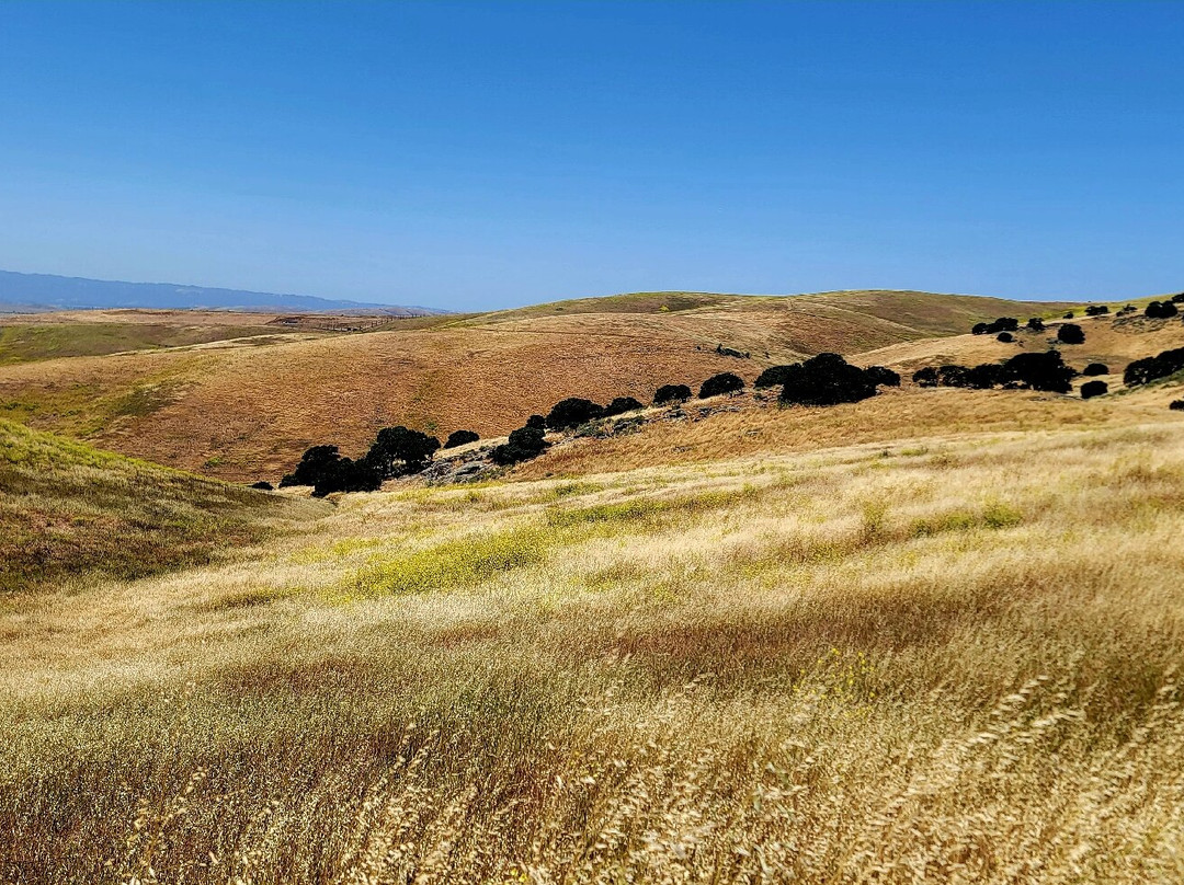 Brushy Peak Regional Preserve-利佛摩必去景点