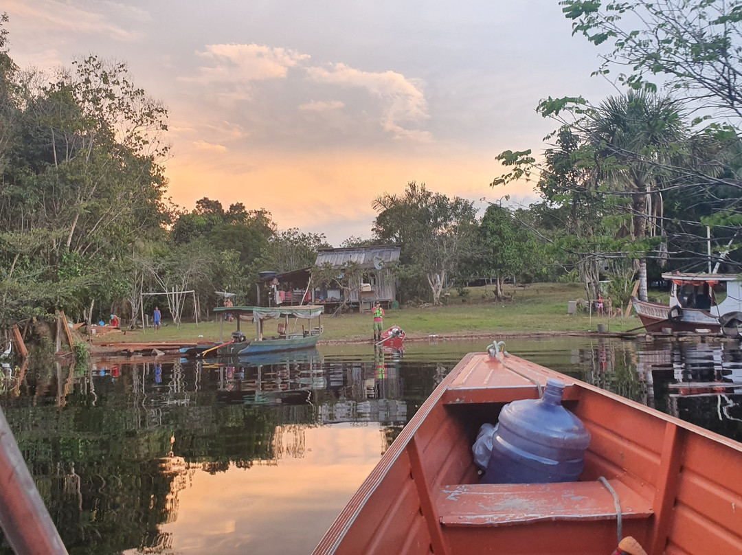 Amazon Green Island tour-Novo Airao必去景点