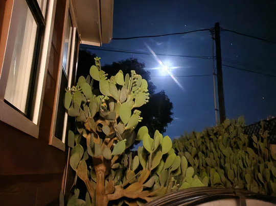 Alpine Bed and Breakfast主图