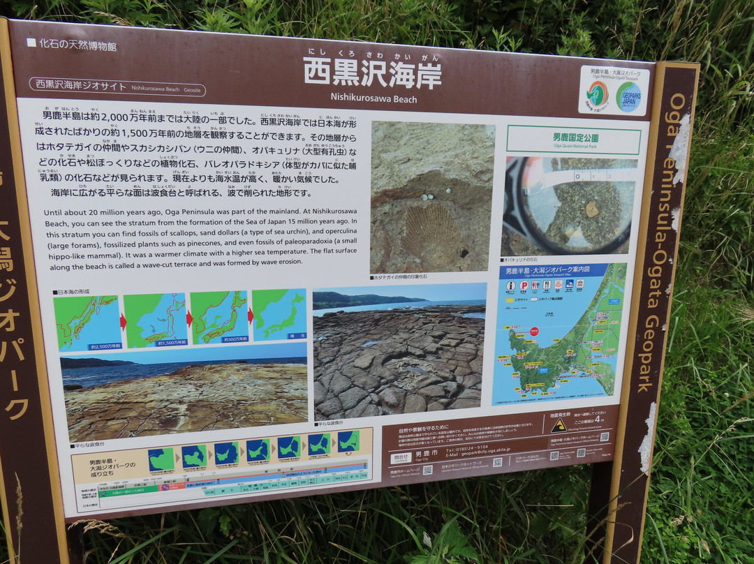 Nishikurozawa Coast-男鹿市必去景点