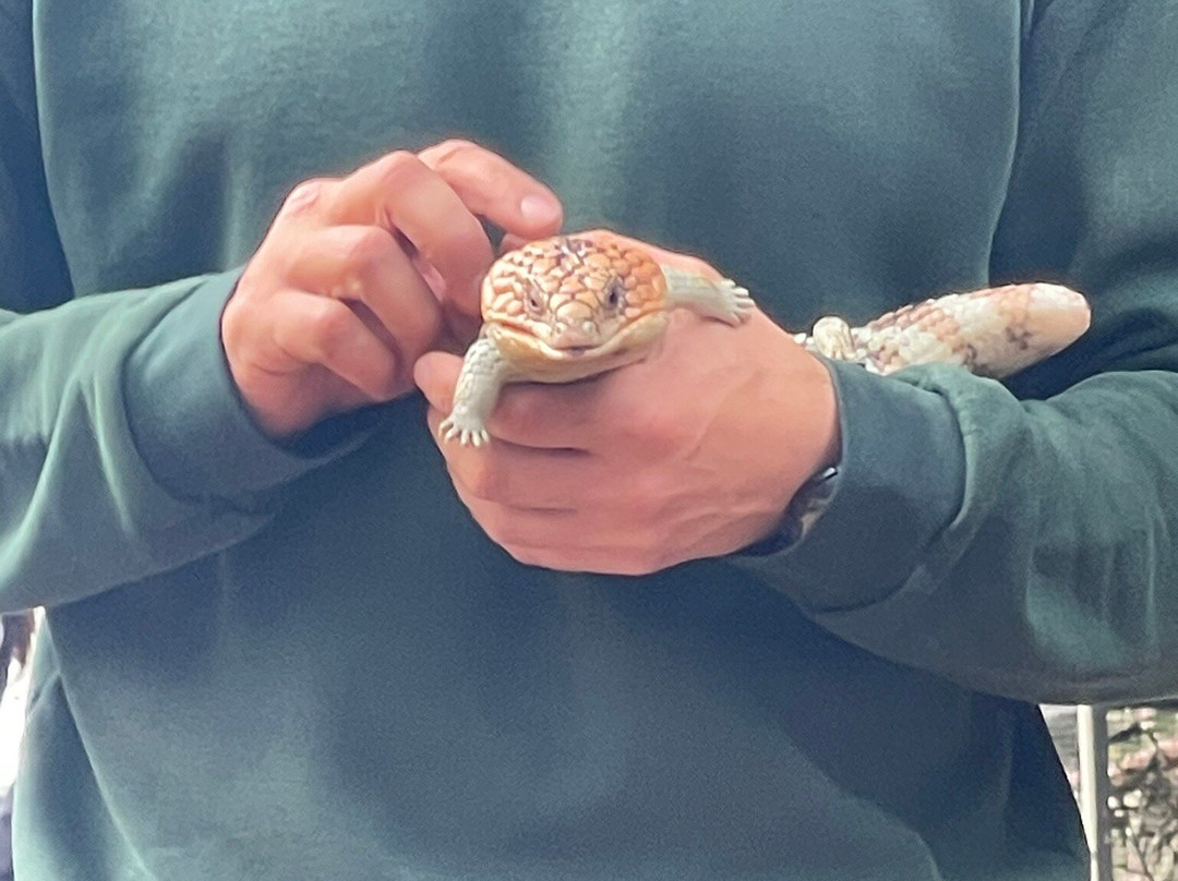 Bunbury Wildlife Park-班伯利必去景点