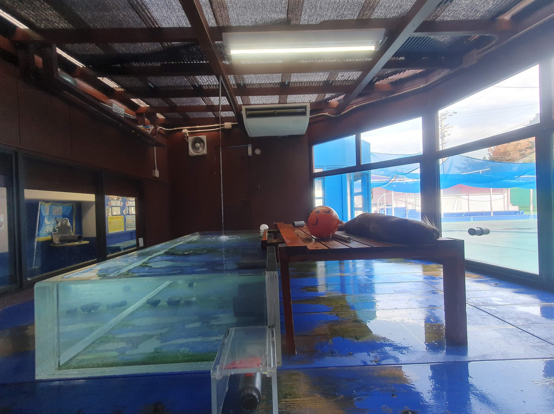 Ise Meotoiwa Interactive Aquarium (Ise Sea Paradise)景点图片