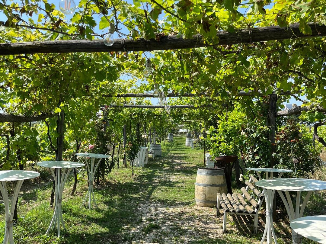 Itanata -Tour Guide in Puglia & Basilicata-巴里必去景点