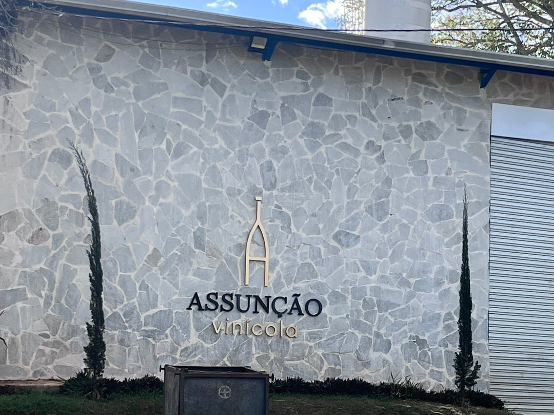 Vinícola Assunção景点图片