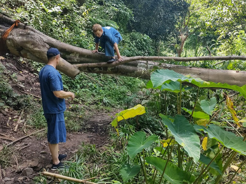 Toto's Elephant Sanctuary-清迈必去景点