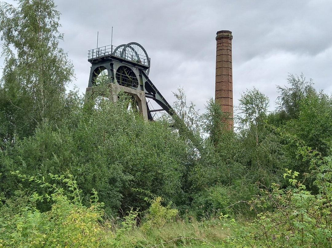 Pleasley Pit Country Park and Local Nature Reserve景点图片