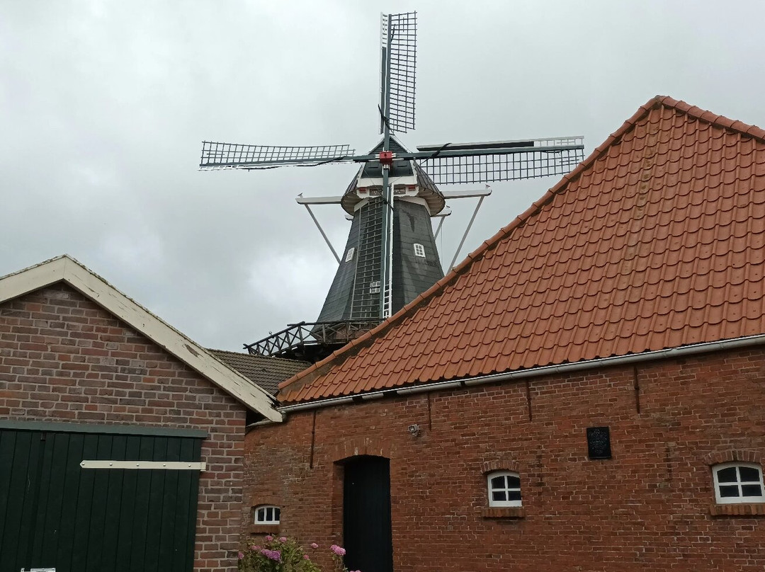 Stellingmolen Rysum (1895)-Rysum必去景点