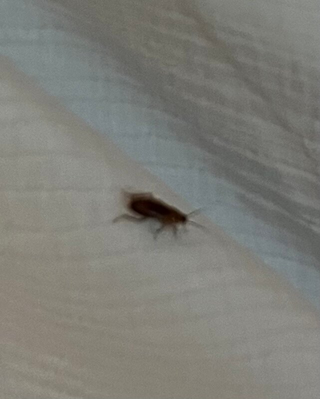 Wellfleet Motel主图