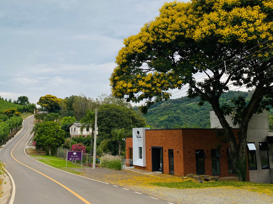 Adega Giovanni Tasca-Monte Belo do Sul必去景点