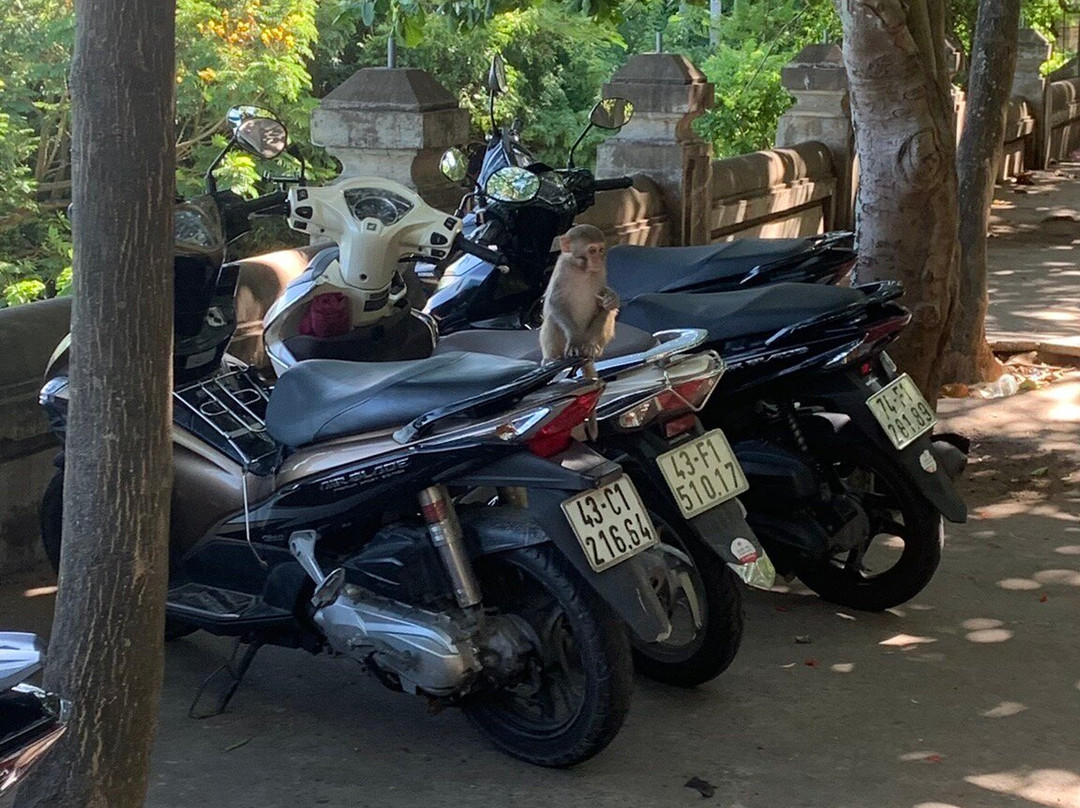 Hoi An Motorcycle Easy Rider Tours - Tony Van-会安必去景点