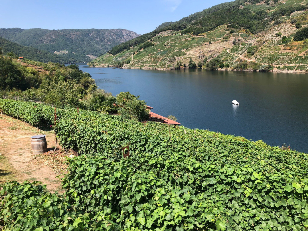 Bodega Ronsel Do Sil景点图片